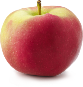 Apples: McIntosh image