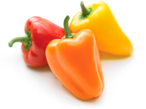 Peppers: Dolce® Baby Bell image