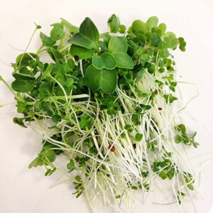 Microgreens: Broccoli image