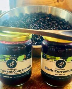 Black currant jam and concentrate image