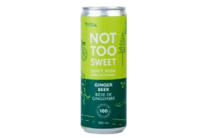 Ginger Beer: Not Too Sweet image