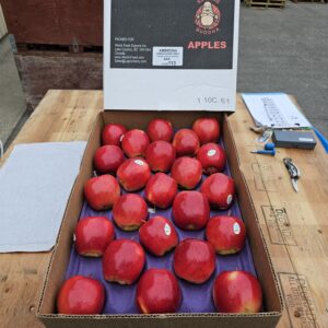 Apples image